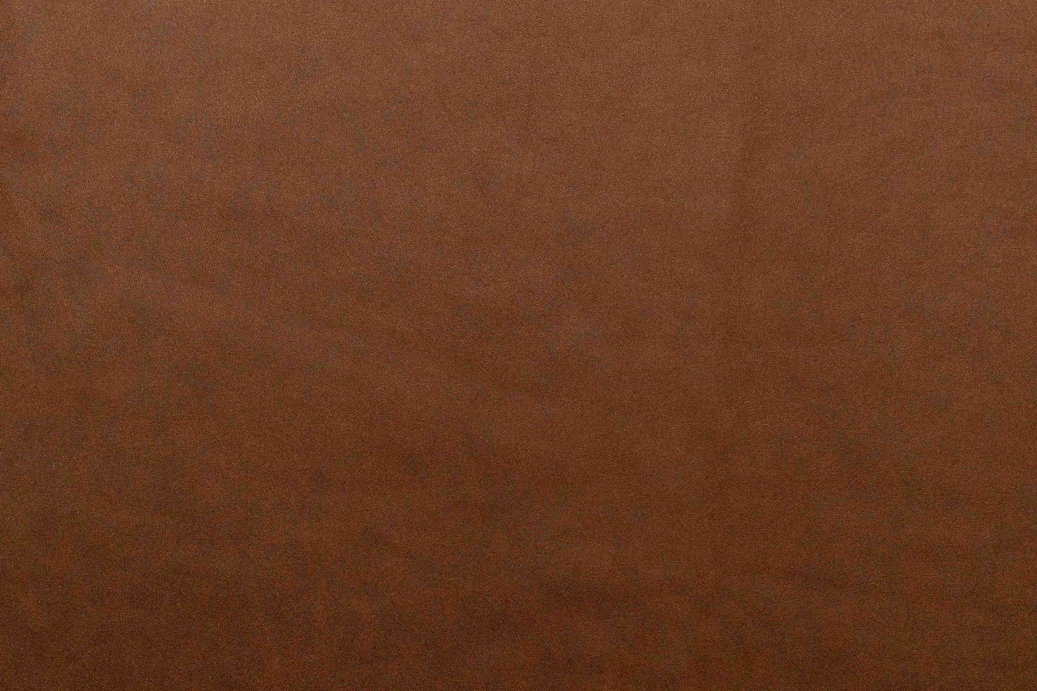 Dylan Hazelnut