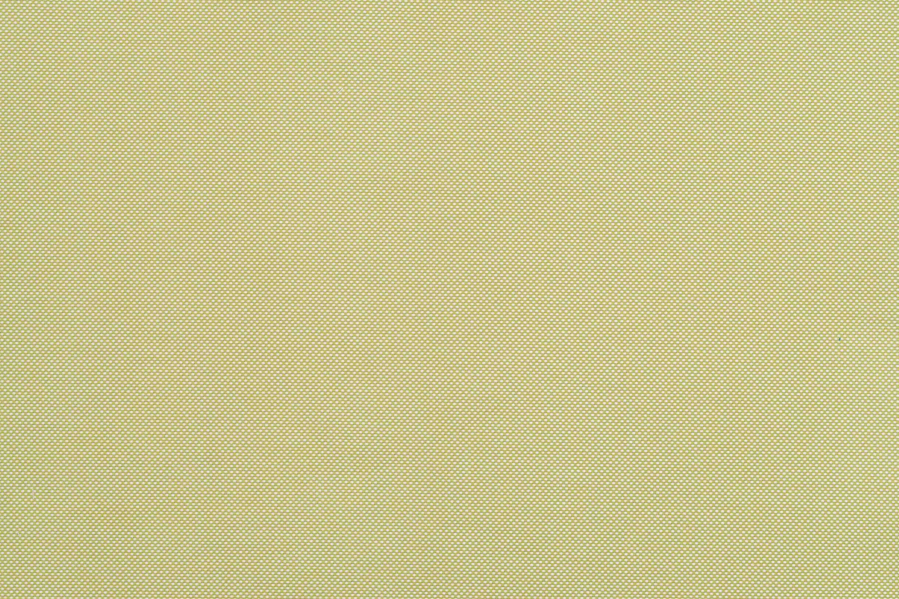 Catalina Apple Green