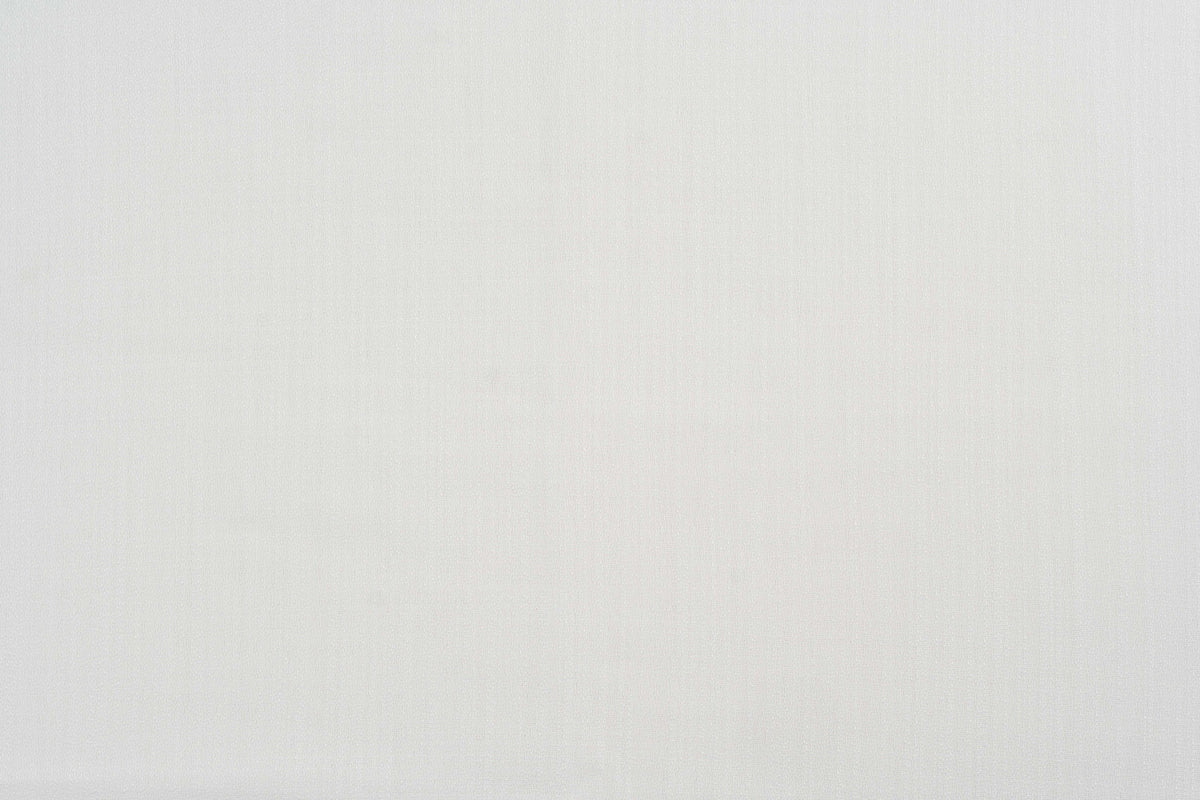 Arbo Blanco