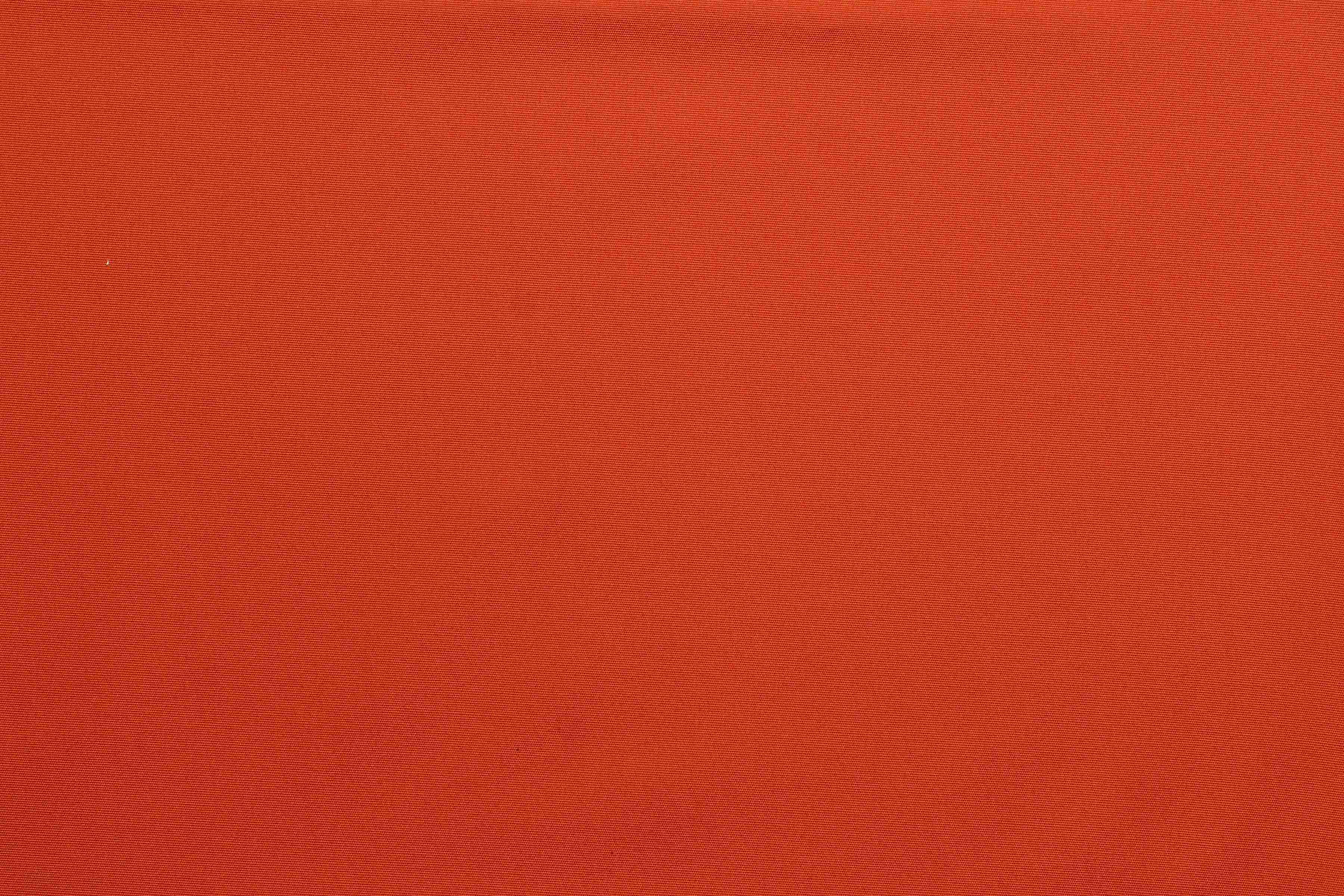 Caribe-proof® Deco Tomato