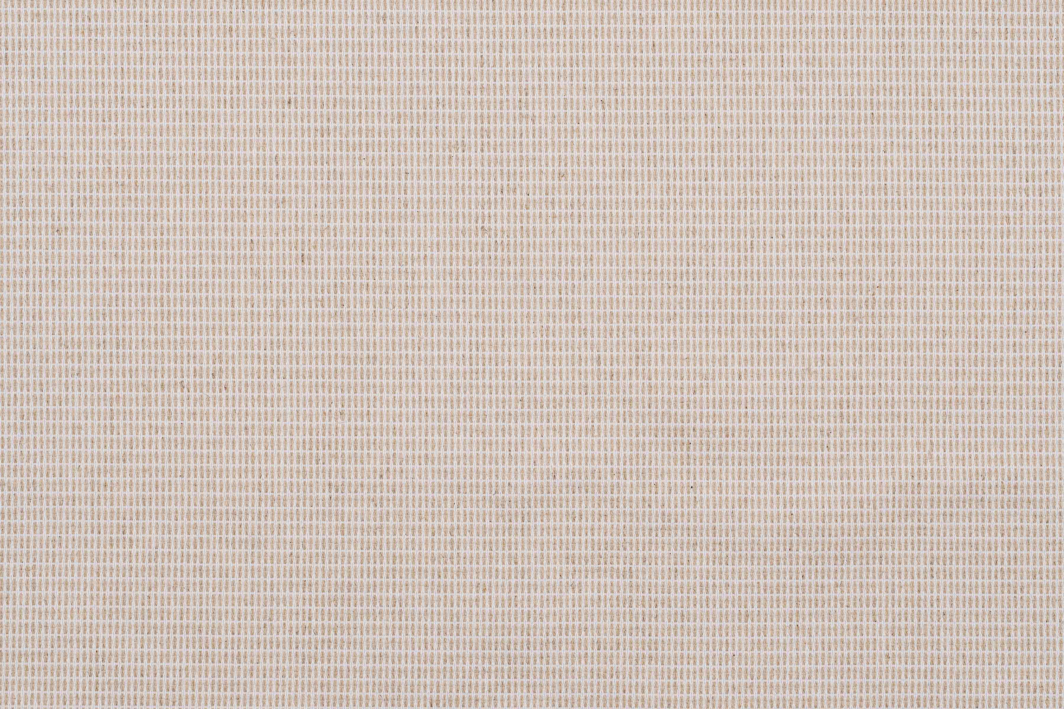 Newbie Beige