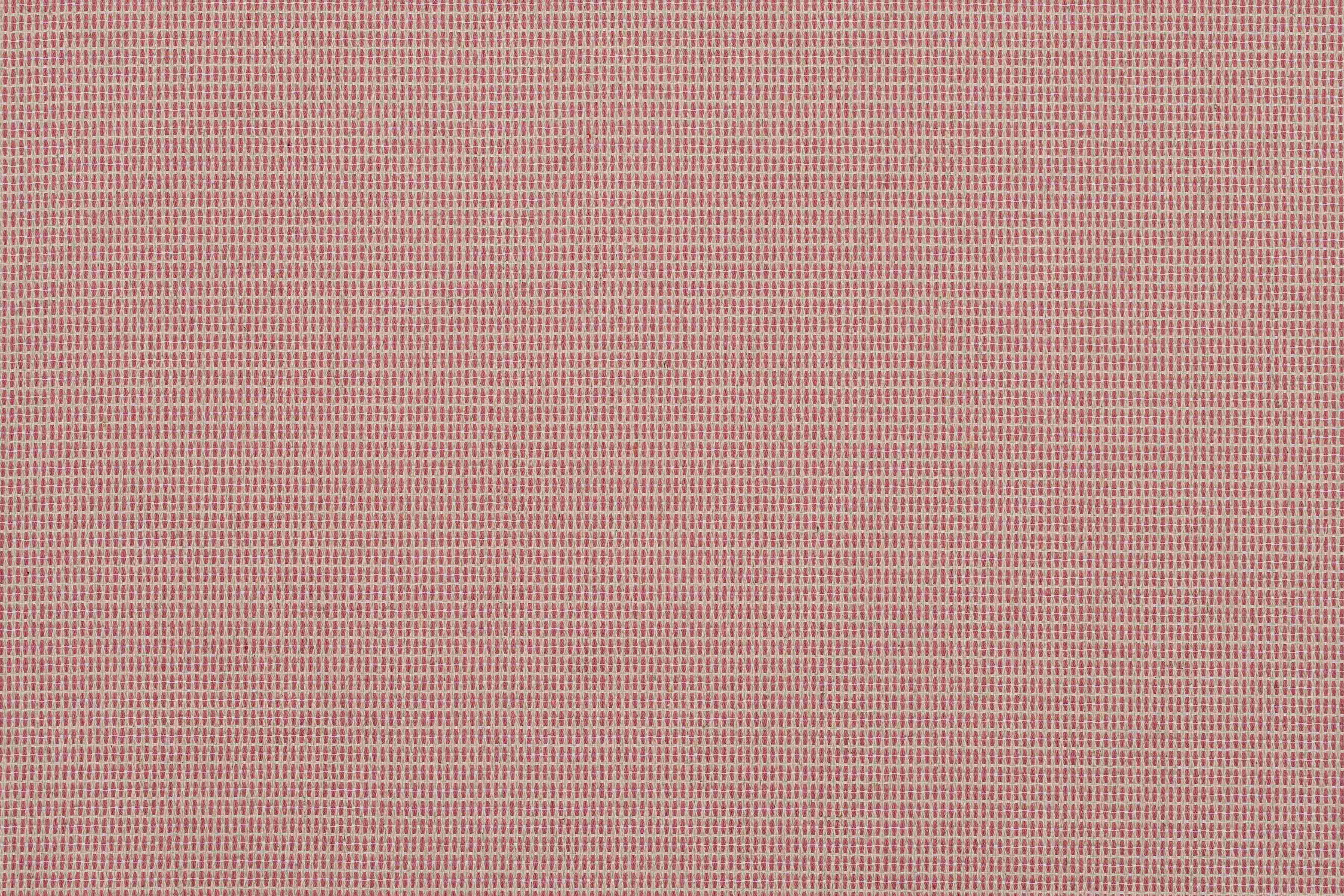 Newbie Pink