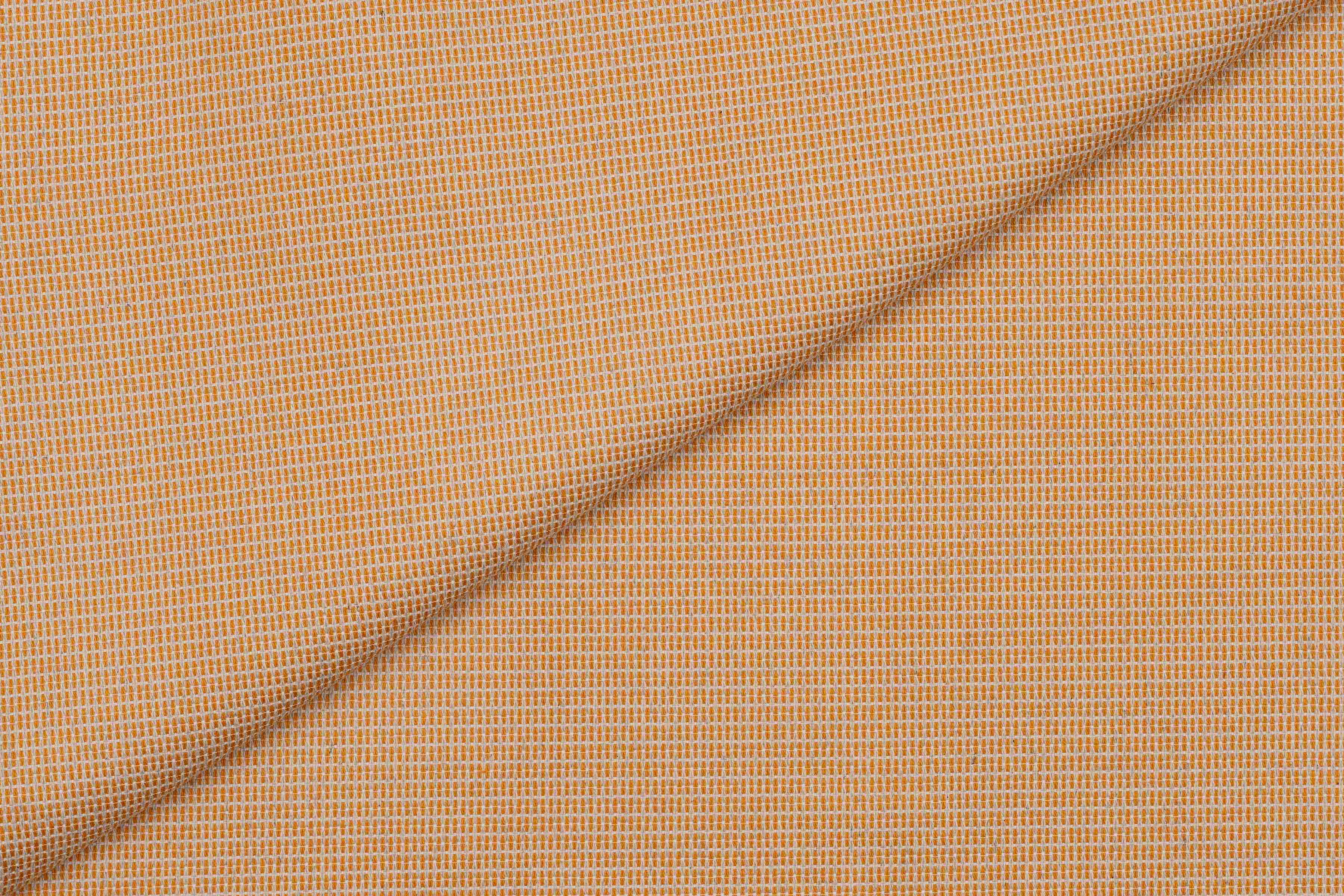 Newbie Orange